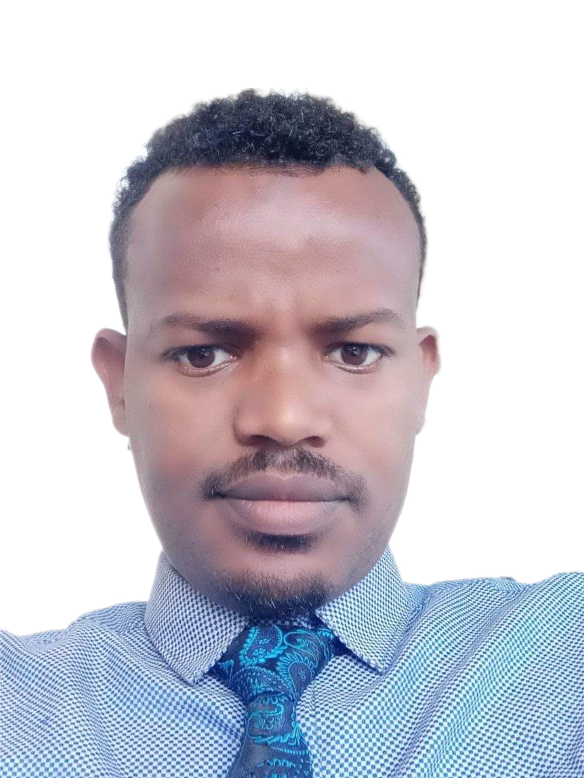 Developer